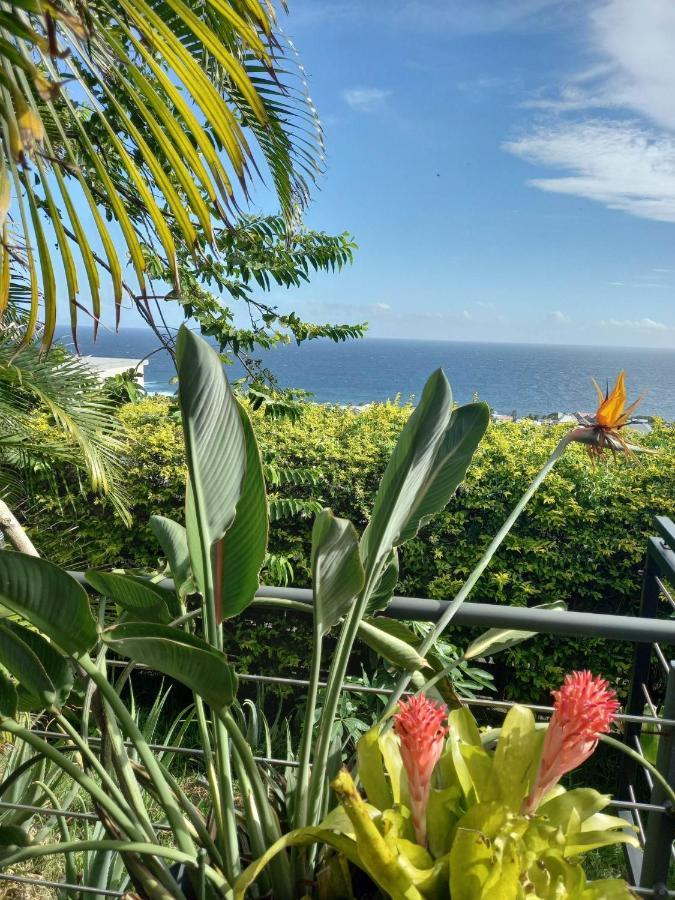 Suite Indigo Jacuzzi Prive Piscine Vue Mer Acces Cuisine Laverie Saint Pierre Exterior foto