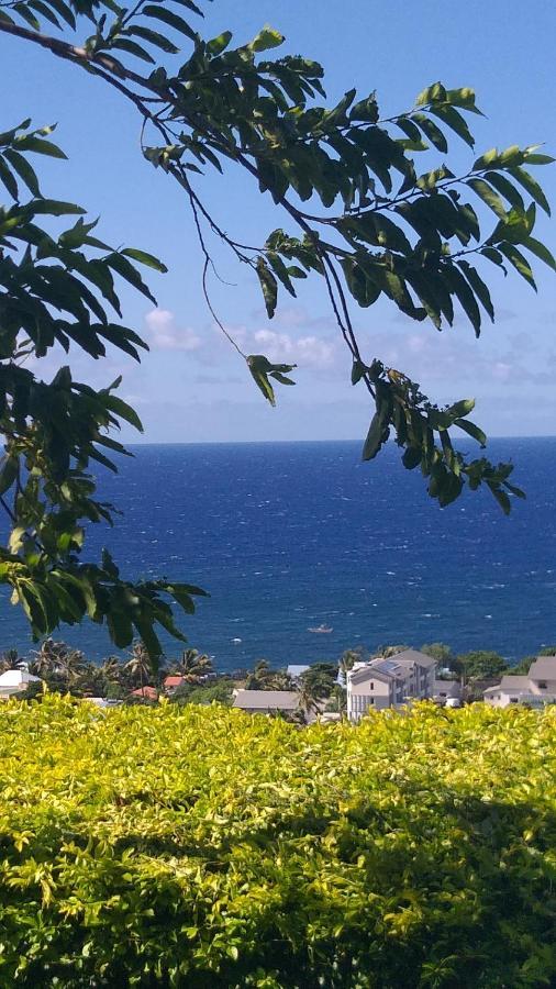 Suite Indigo Jacuzzi Prive Piscine Vue Mer Acces Cuisine Laverie Saint Pierre Exterior foto